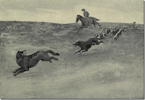 Roosevelt-wolf-hunt-1907