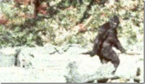 pattersongimlin352