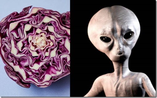 Mujer afirma haber encontrado la cara de un extraterrestre en una col