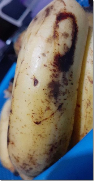2_PAY-Woman-finds-face-of-former-US-president-Abraham-Lincoln-in-her-banana