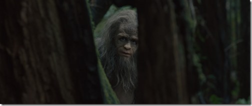 Sasquatch_Still_3_hvyvl9