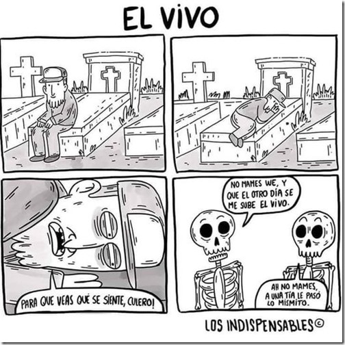 ElVivo