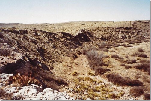 NINTCHDBPICT000744345623