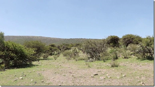 f768x1-678222_678349_5050