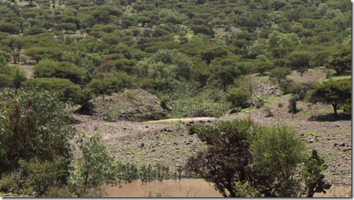 f768x1-678223_678350_5050