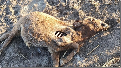 IMG-20250825-WA0007-1024x576