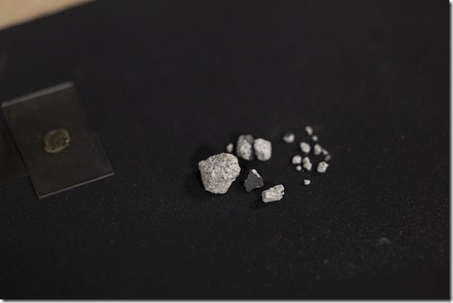 20250801_SHMR_ADT_MARCM_008.DNG