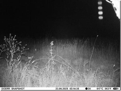 1d96477cda9c60061973394c3c2a429a0a52aa98