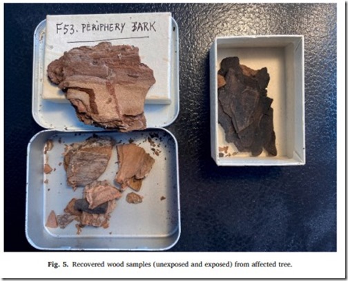 538012927_122174818160499402_529960501211392086_n