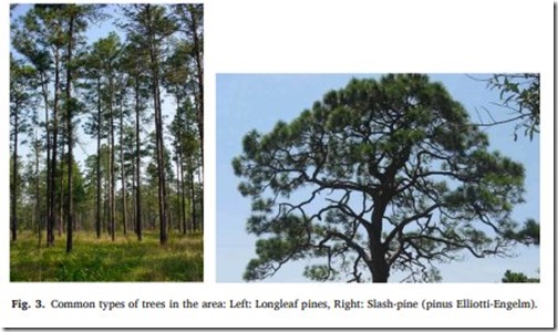 538616276_122174818598499402_1004491229991334246_n