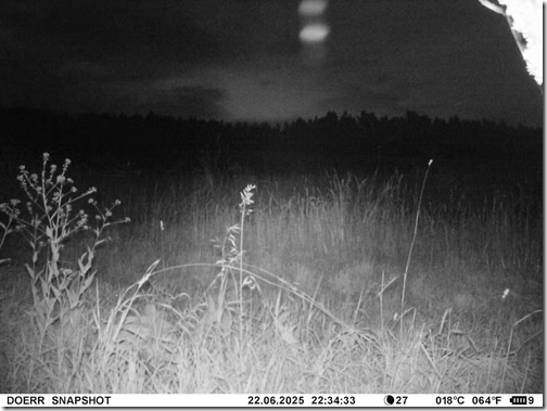 5fd0855a202d6341d0bb14896d74eb02c6aff717