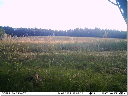 d732486d7a0ab50ff2b9ab7763d03e75a3805e3c