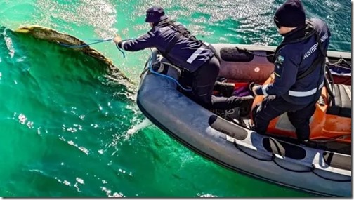 f39ca975-e115-47ca-bd3b-cc2e1f1c752b