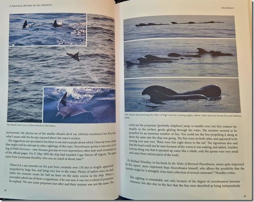 Shine-Sea-Serpents-Mar-2025-Shine-pages-1171px-200kb-Mar-2025-Darren-Naish-Tetrapod-Zoology