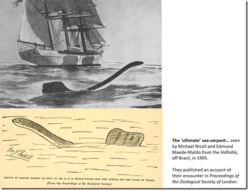 Shine-Sea-Serpents-Mar-2025-Valhalla-1905-montage-1114px-135kb-Mar-2025-Darren-Naish-Tetrapod-Zoology