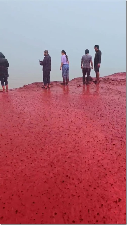 bizarre-blood-rain-phenomenon-sees-979326024