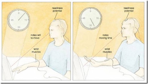 fig2-free-will-am-scientist