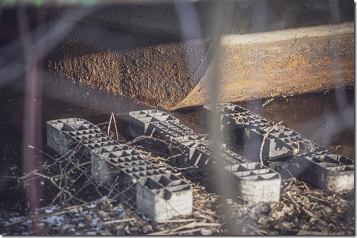 il20250220_895463327_xlarge