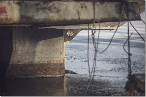 il20250220_895463373_xlarge