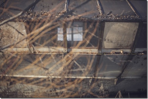 il20250220_895463383_xlarge