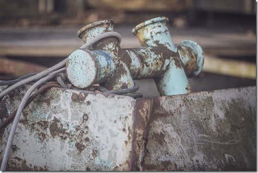 il20250220_895463417_xlarge