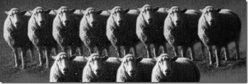 dollyclonehoaxw4hjgk