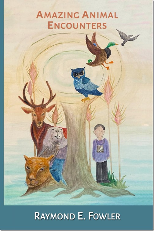 amazing-animal-encounters