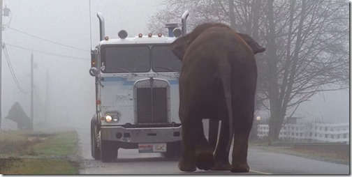 the-x-files-fearful-symmetry-season-2