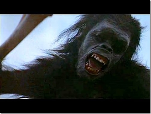 7b3d859c-d79f-42d7-bb38-82182943f205_640x480